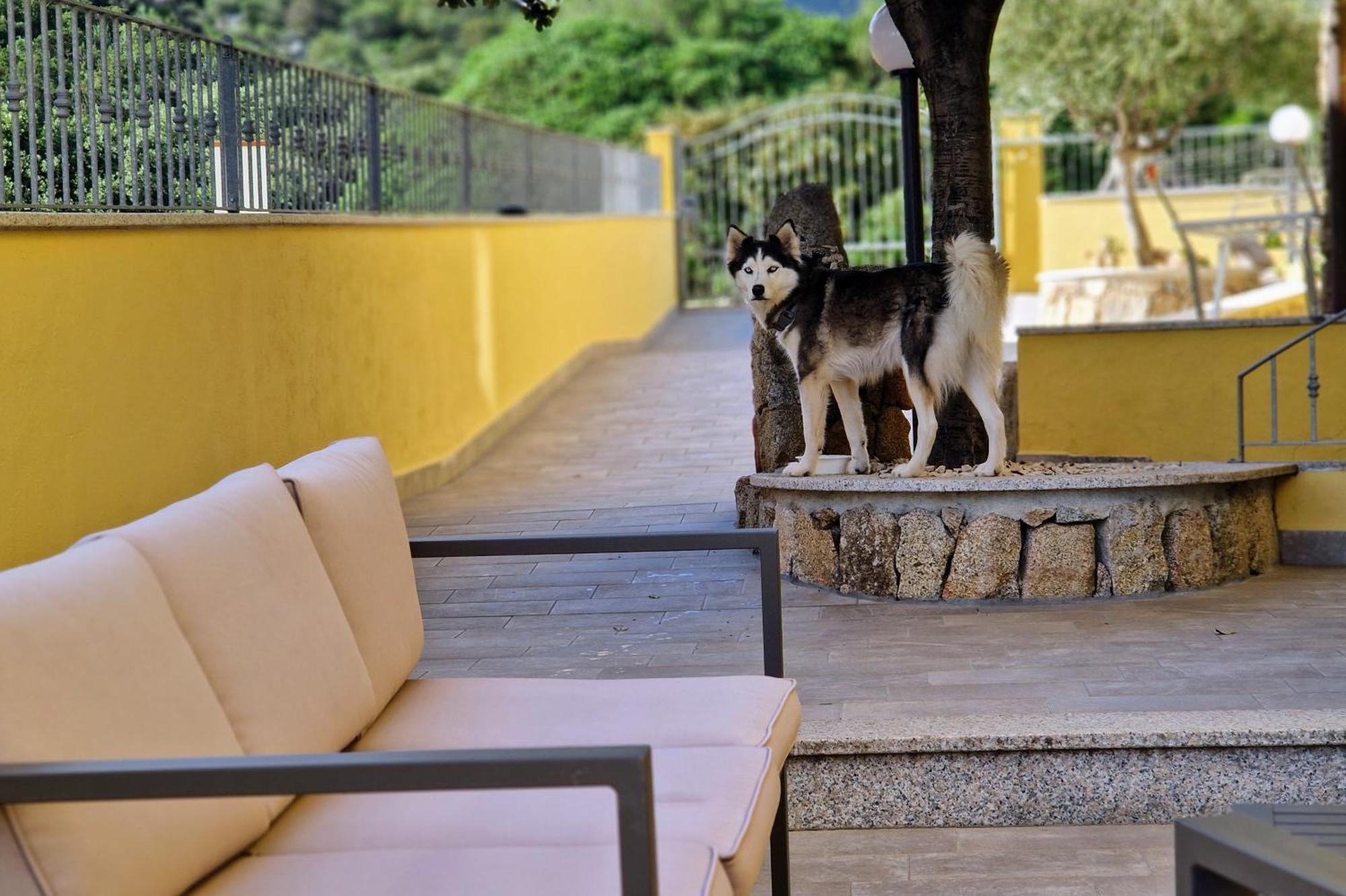 Sa Mamma E Sole B&B Cala Gonone Buitenkant foto